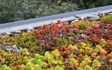 the cost of Biddenden green roof installation