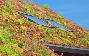 Biddenden living roof systems