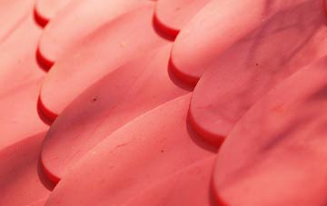 Biddenden plastic roof costs